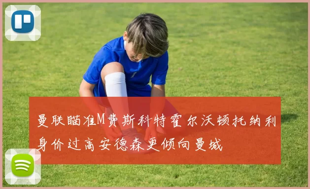 曼联瞄准M费斯科特霍尔沃顿托纳利身价过高安德森更倾向曼城
