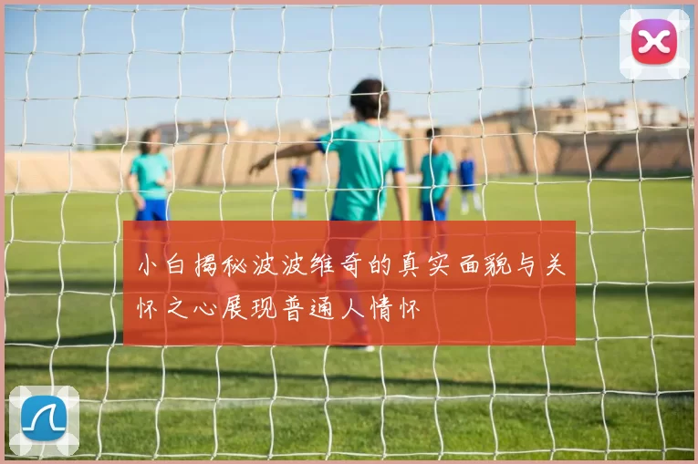 小白揭秘波波维奇的真实面貌与关怀之心展现普通人情怀